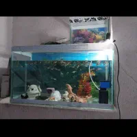 آکواریوم