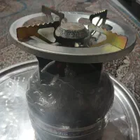 پیک نیک درحد نو