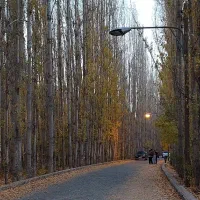 آموزش رانندگی خصوصی فقط بانوان