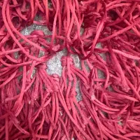 فرش فانتزی|فرش|تهران, کامرانیه|دیوار