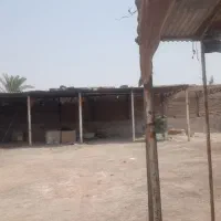 انبار واقع در کوی ذالفقاری اجاره داده میشود