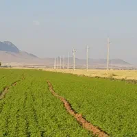 فروش زمین درسیمکان جهرم