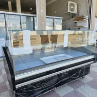 یخچال پروتئینی الکترواستیل