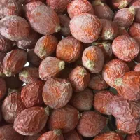 بذر گل سیکاس