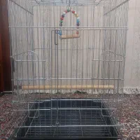 قفس کاسکویی