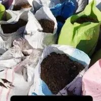 کود گوسفندی