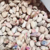 پسته کوهی خندون پسته جنگلی خندون پسته وحشی خندون|خوردنی و آشامیدنی|رضویه, |دیوار