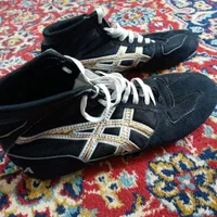 کفش کشتی ، عتیقه|کیف، کفش، کمربند|یاسوج, |دیوار