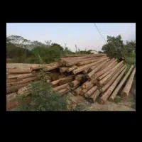 خرید و فروش ایرانیت و چوب و آهن آلات|مصالح و تجهیزات ساختمان|گرگان, |دیوار