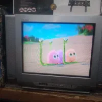 تلویزیون 21 اینچ|تلویزیون و پروژکتور|زاهدان, |دیوار