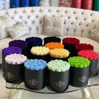 گل روبانی،شاخه ای فقط فقط ۱۲ت