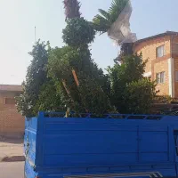 نیسان تک سوز مدل ۴۰۳ همراه کفی و باربند