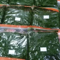 انواع سبزی|خوردنی و آشامیدنی|بندر امام خمینی, |دیوار