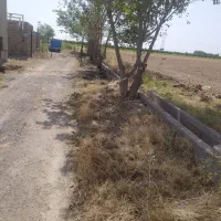 3هکتار ملک کشاورزی صنعتی با آب و برق وگاز|فروش دفتر صنعتی، کشاورزی، تجاری|ساوه, |دیوار