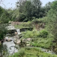 راهنمای  برای زیارت وسیاحت ...|فعالیت داوطلبانه تحقیقاتی|رشت, بازار|دیوار