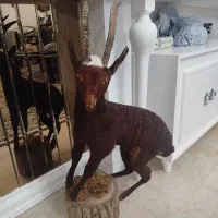 مجسمه بر طبیعی