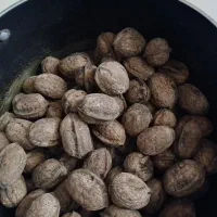 گردو بادامی