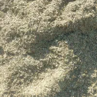 فروش کاه ماش خرمن کوب|خدمات باغبانی و درختکاری|دزفول, |دیوار