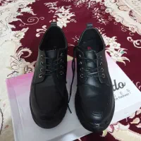 کفش|کیف، کفش، کمربند|مرند, |دیوار