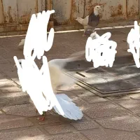 فولادی مایه نسل قدیم