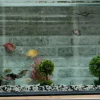 آکواریوم با تمام تجهیزات