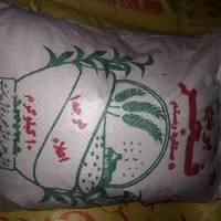 برنج فجر و چمپا