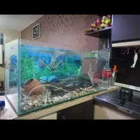 اکواریوم فروش فوری