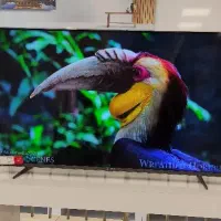 تلویزیون ویترینی دوو