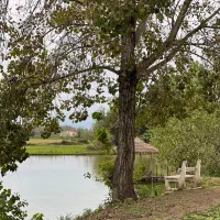 ویلای دو درخت|اجارهٔ کوتاهمدت ویلا و باغ|رشت, پسیخان|دیوار