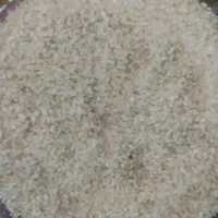 فروش نیم دانه  کامفیروزی