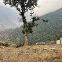 فروش ۴۰۰ متر زمین /کوه پرِن/ سند دار/ویوی بی نظیر|فروش زمین و ملک کلنگی|امامزاده عبدالله, |دیوار