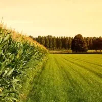 فروش زمین کشاورزی در اسدآباد