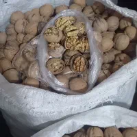فروش گردوی درجه یک
