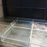 شیشه آجیل