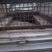 باربند و کفی مزدا وانت - فروش فوری