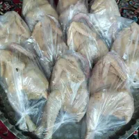 مرغ و اردک محلی پرکنده و تازه