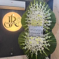 گل ختمی|گل و گیاه طبیعی|تهران, شهرک محلاتی|دیوار