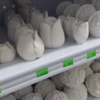 نمادسال 1405|صنایع دستی و سایر لوازم تزئینی|شیراز, بهارستان|دیوار