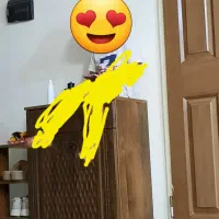 جاکفشی شلف دار|جاکفشی، کمد، دراور|بجنورد, |دیوار