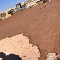 کاهگل اماده باضمانت نامه کتبی