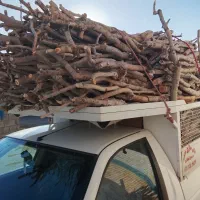 خرید چوب پسته تسویه روی باسکول