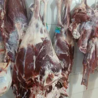 گوشت گوساله