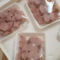 مجموعه آبزیان دریایی مکران