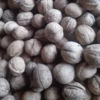 فروش گردوی نیمه کاغذی قدیمی و روغنی