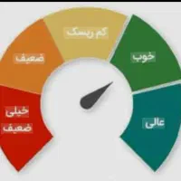 ضامن رتبه اعتباری A یا B دارایی چک دیجیتال