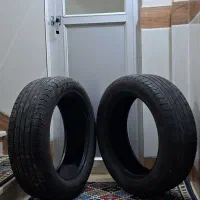 لاستیک لاماری