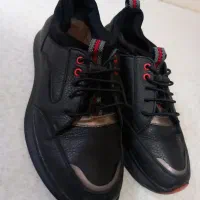 کتونی در حدنو