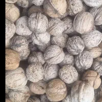 گردو مغز سفید