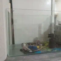 اکواریوم  بزرگ