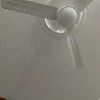 دو عدد پنکه سقفی یک فرش ۹ متری فانتزی